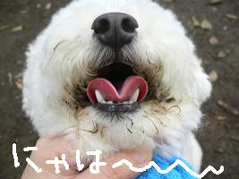 画像 8529.jpg