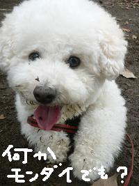 画像 8530.jpg