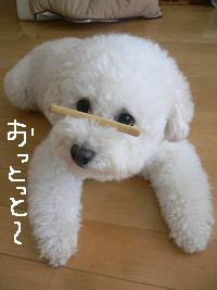 画像 8534.jpg