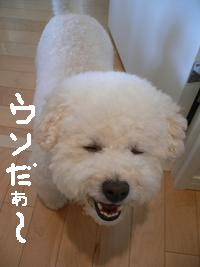 画像 8536.jpg