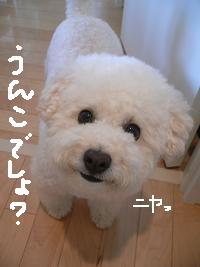 画像 8537.jpg