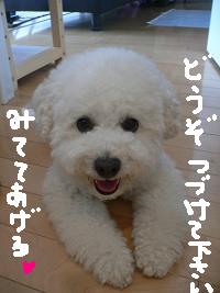 画像 8539.jpg