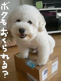 画像 8542.jpg
