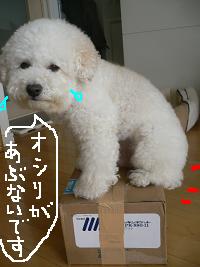 画像 8543.jpg