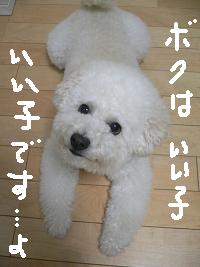画像 8554.jpg
