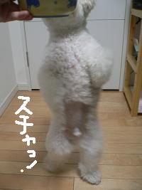 画像 8555.jpg