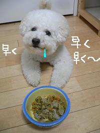 画像 8556.jpg