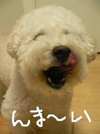画像 8557.jpg