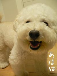 画像 8558.jpg