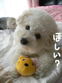画像 8563.jpg