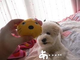 画像 8567.jpg