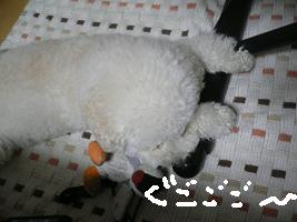 画像 8577.jpg