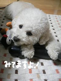 画像 8578.jpg