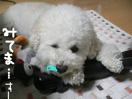 画像 8579.jpg