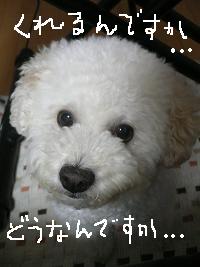 画像 8580.jpg