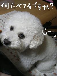 画像 8582.jpg