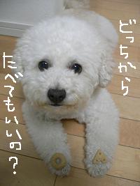 画像 8588.jpg