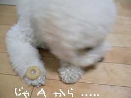 画像 8589.jpg