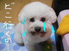 画像 883.jpg