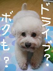 画像 884.jpg