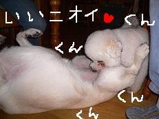 画像 888.jpg
