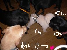 画像 893.jpg