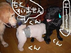 画像 895.jpg