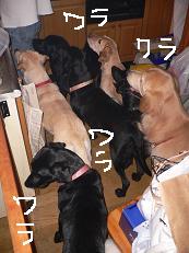 画像 900.jpg