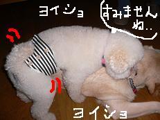画像 907.jpg