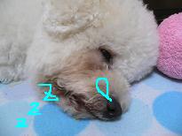 画像 912.jpg