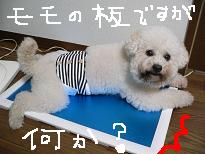 画像 915.jpg