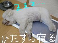 画像 929.jpg