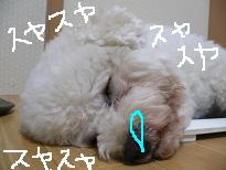 画像 930.jpg