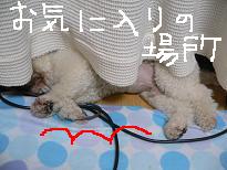 画像 939.jpg
