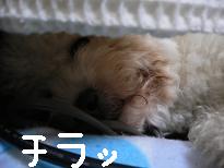画像 940.jpg