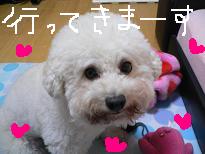 画像 943.jpg