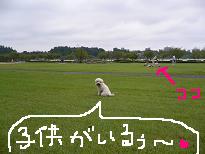 画像 949.jpg