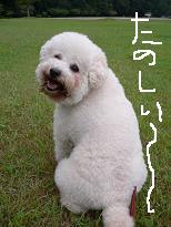 画像 950.jpg