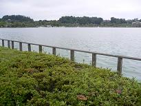 画像 951.jpg