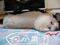 画像 959.jpg