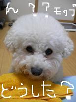 画像 964.jpg