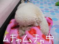 画像 965.jpg