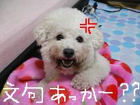 画像 966.jpg