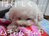画像 967.jpg