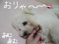 画像 968.jpg