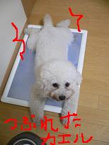 画像 973.jpg