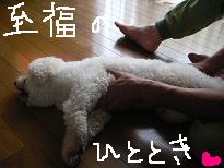 画像 974.jpg