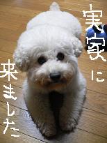 画像 975.jpg