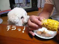 画像 980.jpg