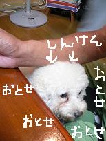 画像 981.jpg